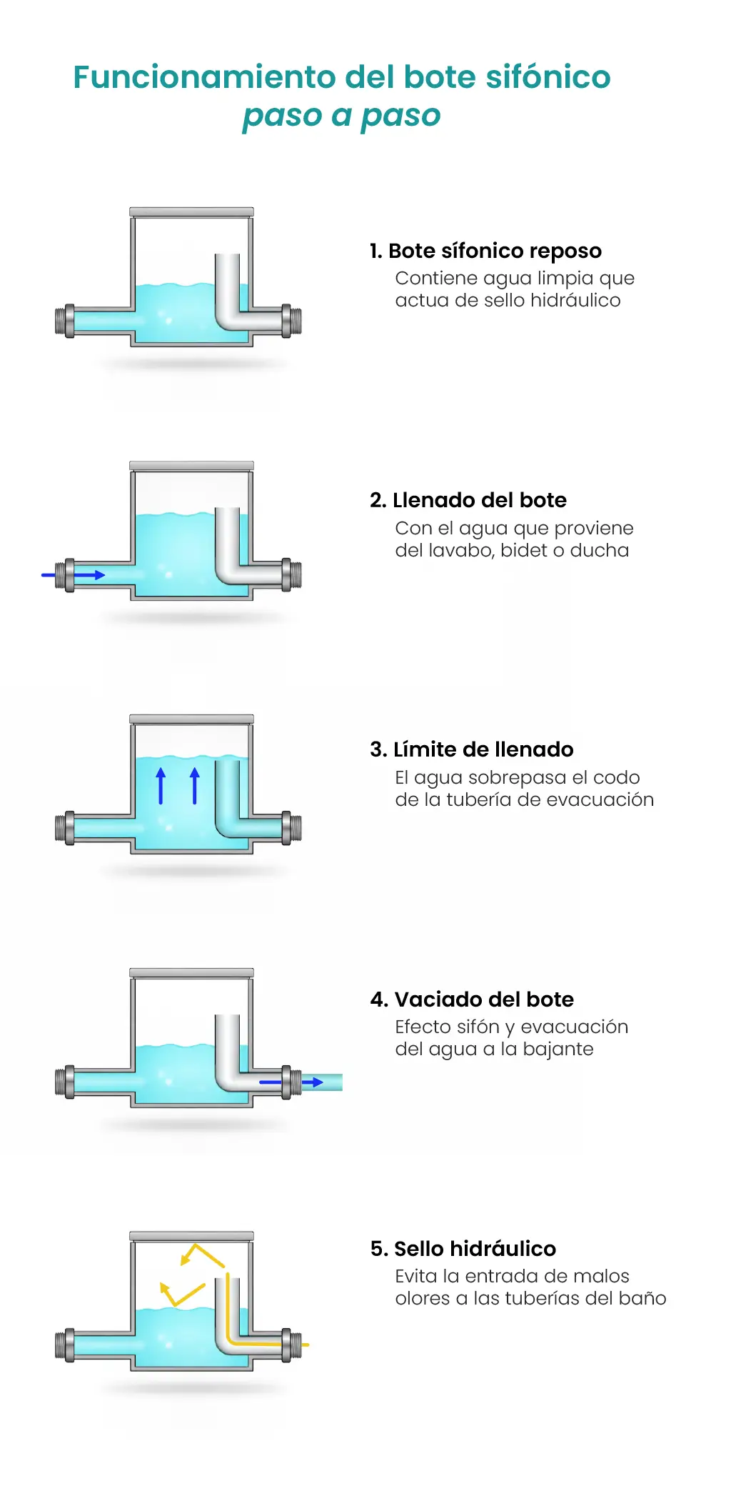 ilustración de como funciona el bote sifónico desde su estado de reposo y llenado hasta la evacuación de agua hacia la bajante y la formación del sello hidráulico
